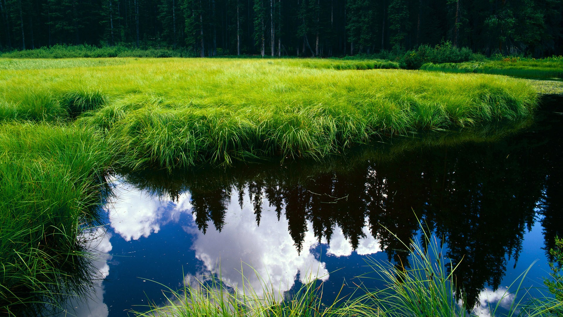 爱游戏中国官方网站平台-2024季后赛：湖人在詹姆斯的带领下实现“绝地反击”！，湖人14年季后赛