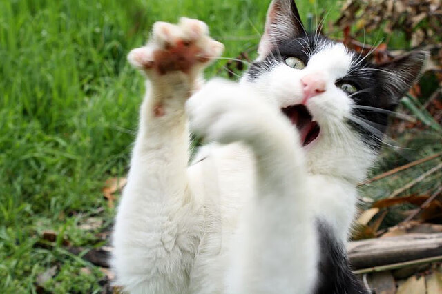 爱游戏综合娱乐-KPL明星选手身价榜：谁是KPL最具价值的选手？，kpl身价排行