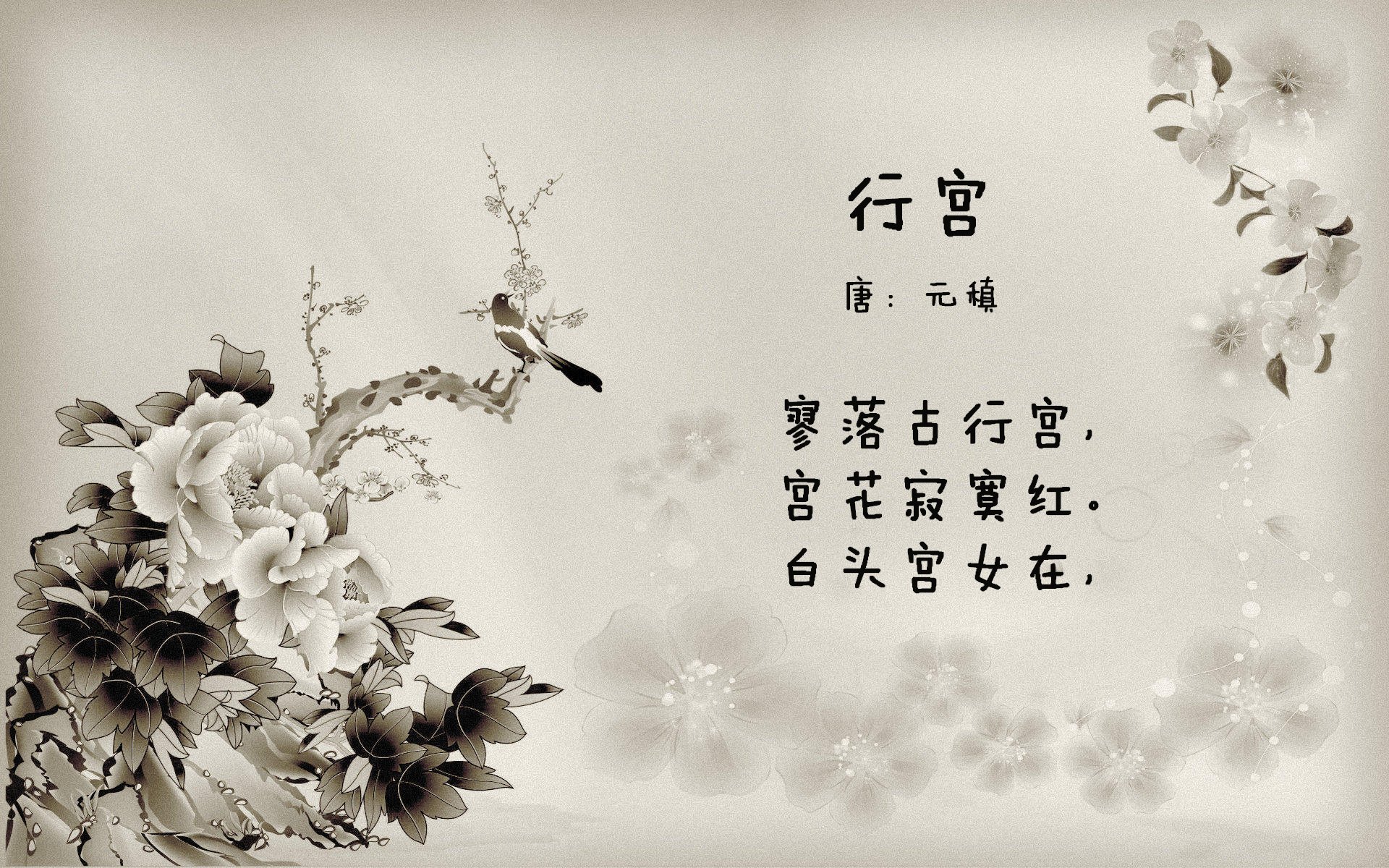 2025年度最佳电竞玩家评选揭晓,年度电竞排行