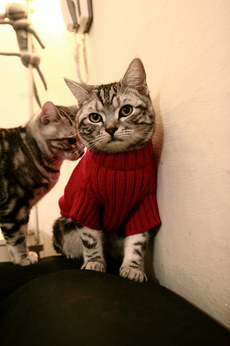 爱游戏体育（AYX）官方APP下载-AI智能分析：打破传统战术，开启数据驱动新时代，ai智能化系统