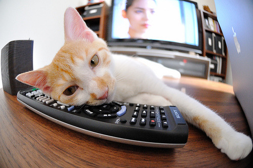 _不同国家的比赛风格：探索多元化的网球战术_，哪个国家规定的网球比赛的规则