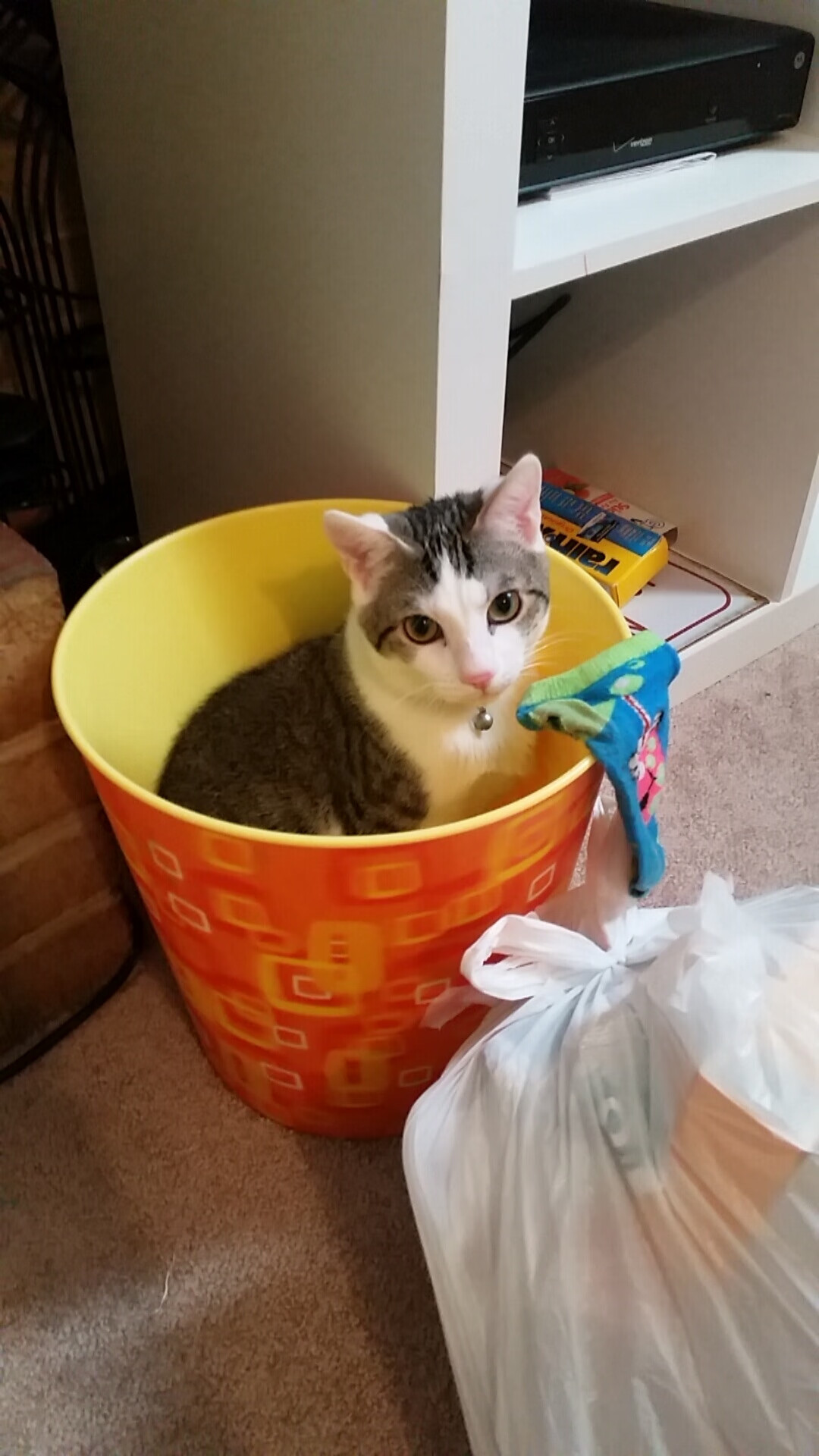 NBA首席裁判官推出新培训系统，使用VR模拟实战判罚，nba裁判员名单及编号