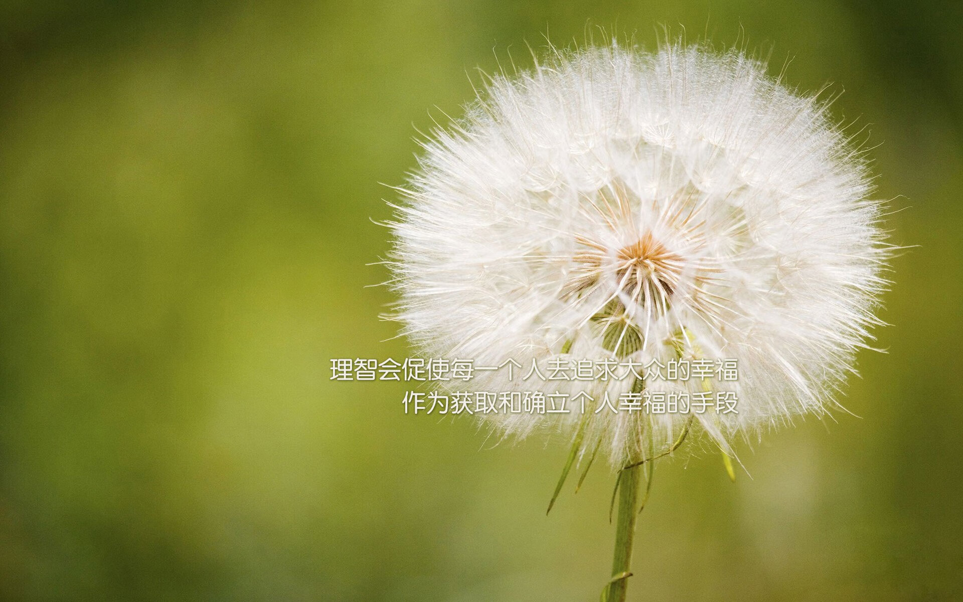 NBA纪律委员会严查比赛争议事件，nba2k球员纪律啥意思