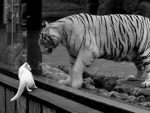 爱游戏官方-_云端极速跑：虚拟空间中挑战极限_，云端超级云