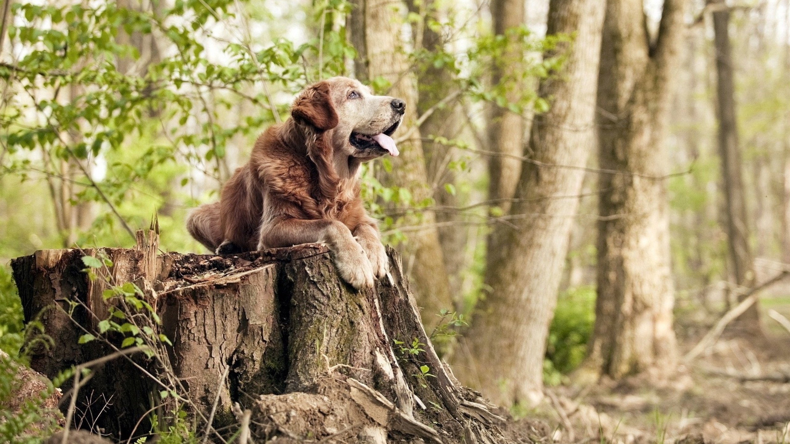 爱游戏娱乐平台-_动感单车赛：城市健身新风尚_，动感单车挑战赛规则