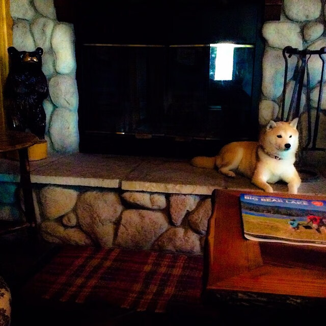 爱游戏中国官方登录入口网站-_青年未来之星：U18青少年网球锦标赛精彩纷呈_，青少年网球冠军