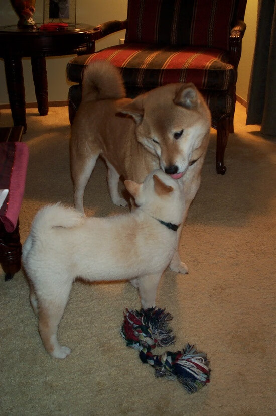 爱游戏官网-中国足球宣传片获国际大奖，国际影响力提升，中国足球宣传片获国际大奖,国际影响力提升了吗