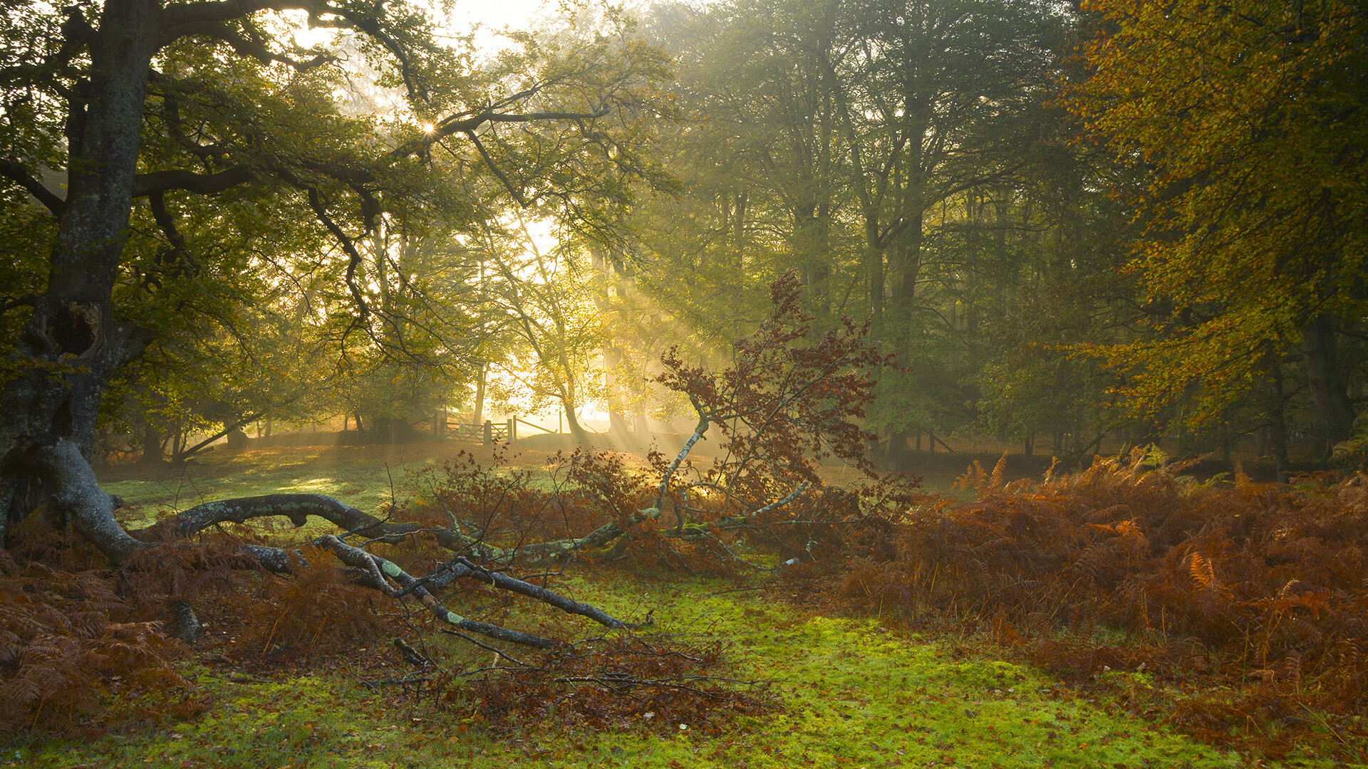 爱游戏登录入口-乔治和伦纳德的“铁血组合”带领快船持续冲击总冠军，伦纳德乔治组合叫什么名字