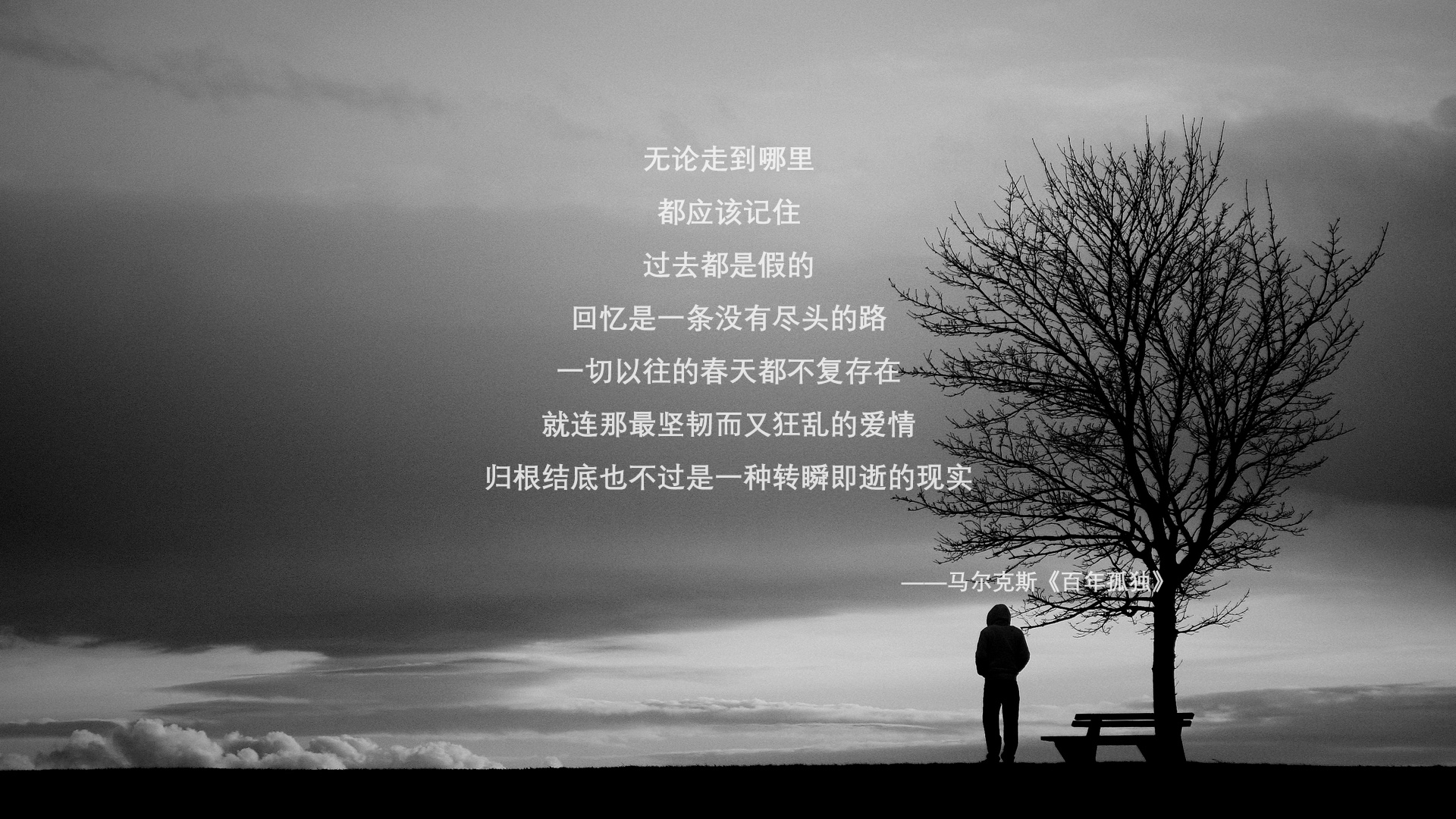 从青训到欧冠：新星的成长传奇，欧冠 青训