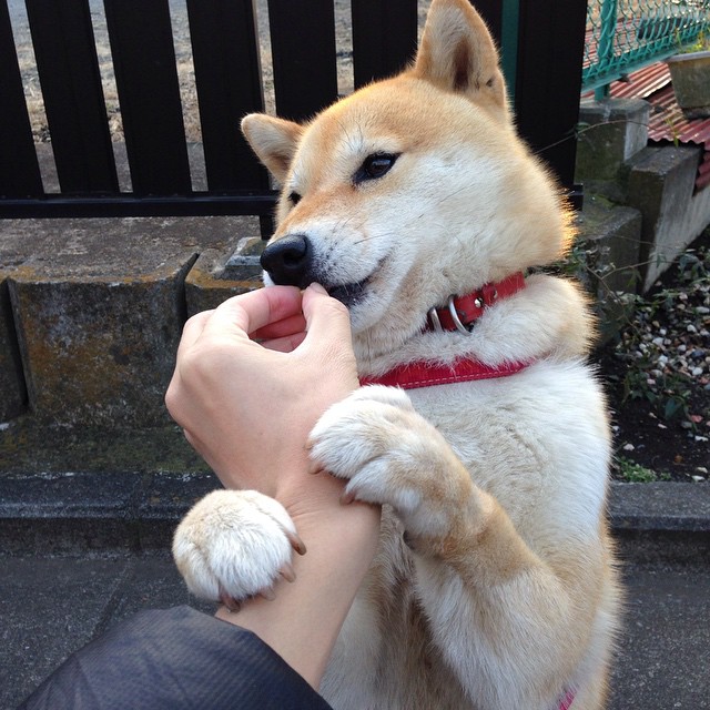 爱游戏官方网站-弗洛伦丁镶嵌绝杀，带领阿森纳夺冠梦，弗洛伦汀