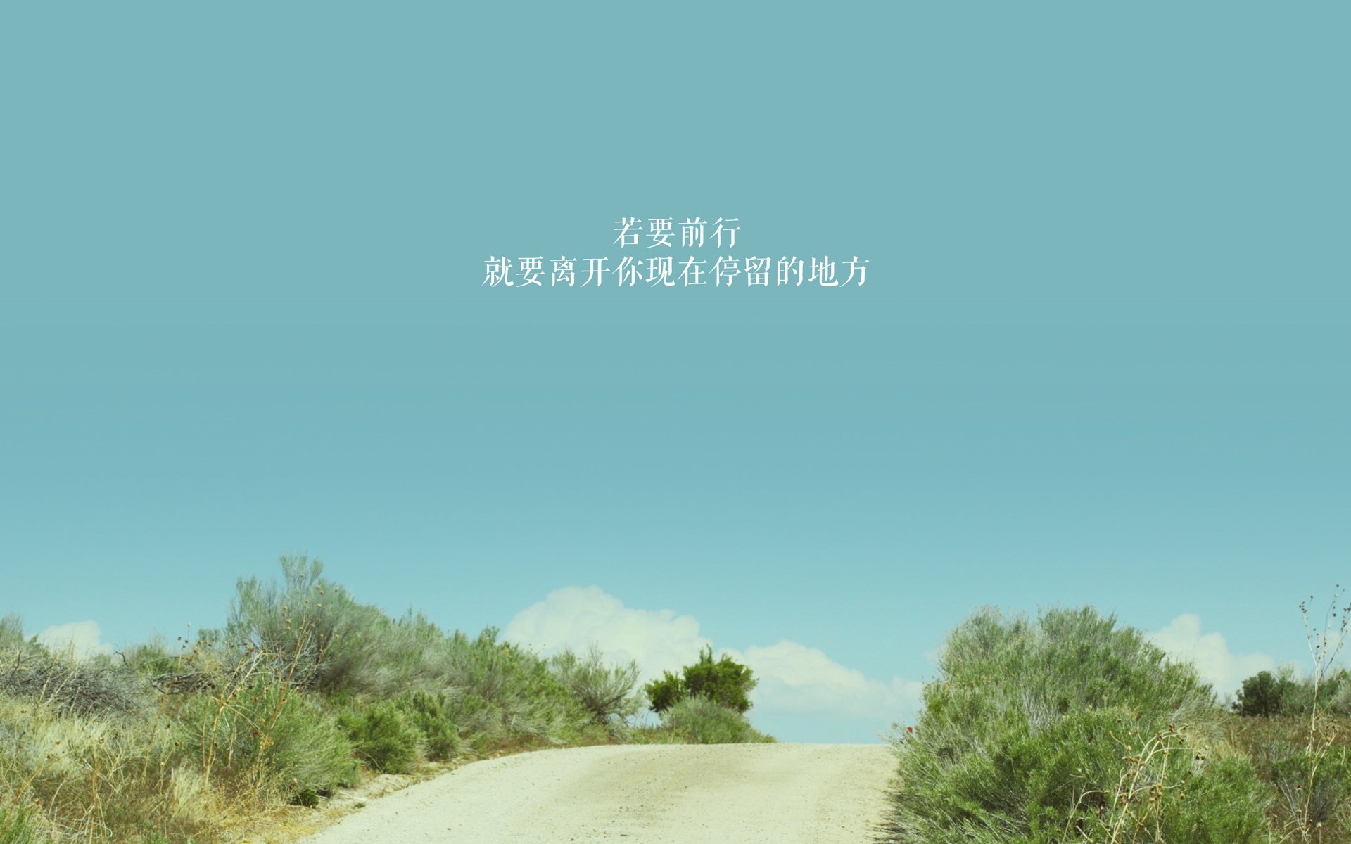 球场“姐妹花”——巾帼不让须眉的欧冠女将风采，欧冠女子