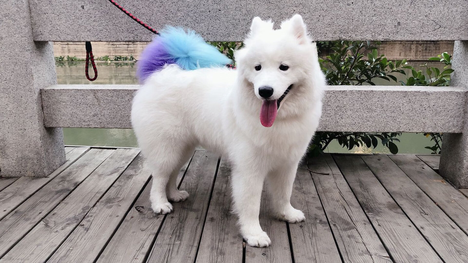 布里斯托城传控娴熟，海港之队渴望连胜，布里斯托是海边城市吗