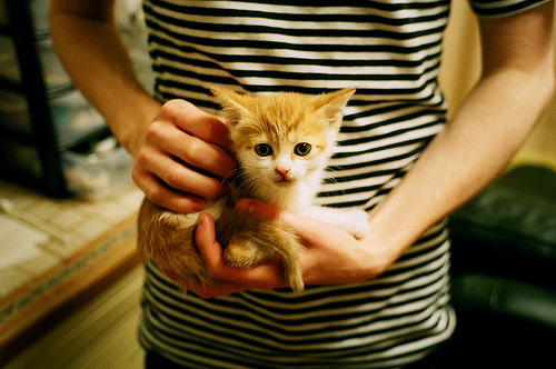 弗拉门戈签下实力中场，弗拉门戈昨晚比赛