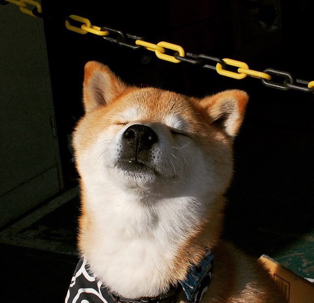 爱游戏-战至最后一刻，看谁能决胜关键！，战到最后一刻的诗句