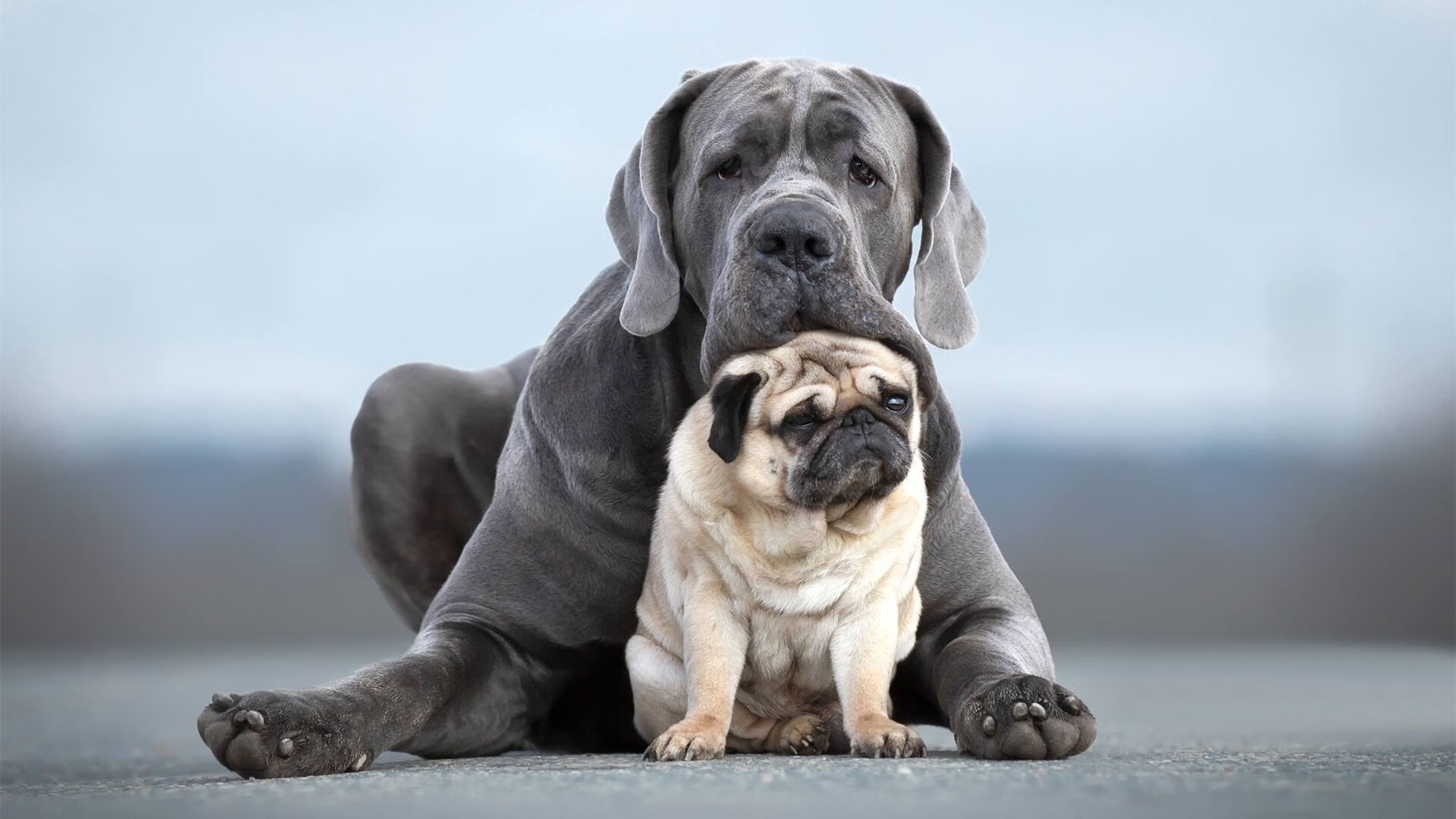 拜仁慕尼黑客场3-1战胜云达不莱梅，豪取四连胜，拜仁慕尼黑53场不败