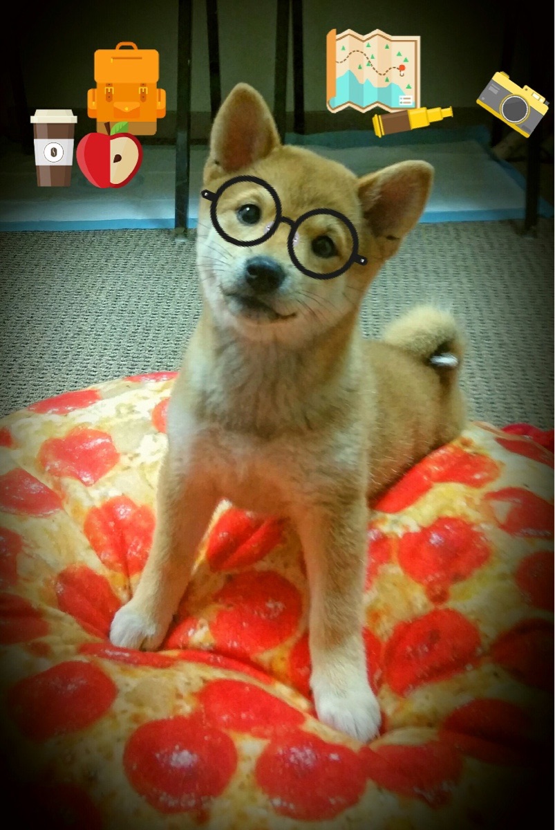 深圳马可波罗新星闪耀联赛赛场，深圳马可波罗比赛日期