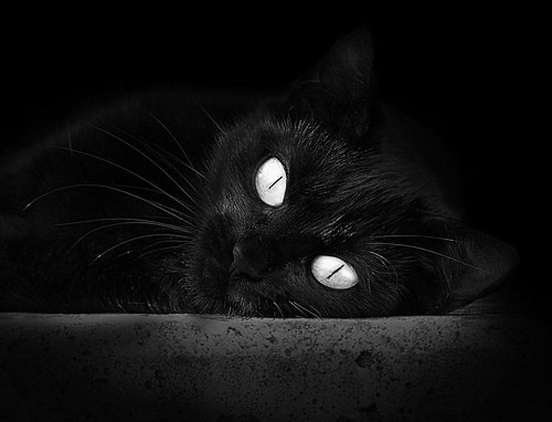 贝林厄姆荣膺2024环球足球最佳中场奖及马拉多纳奖，fm21贝林厄姆