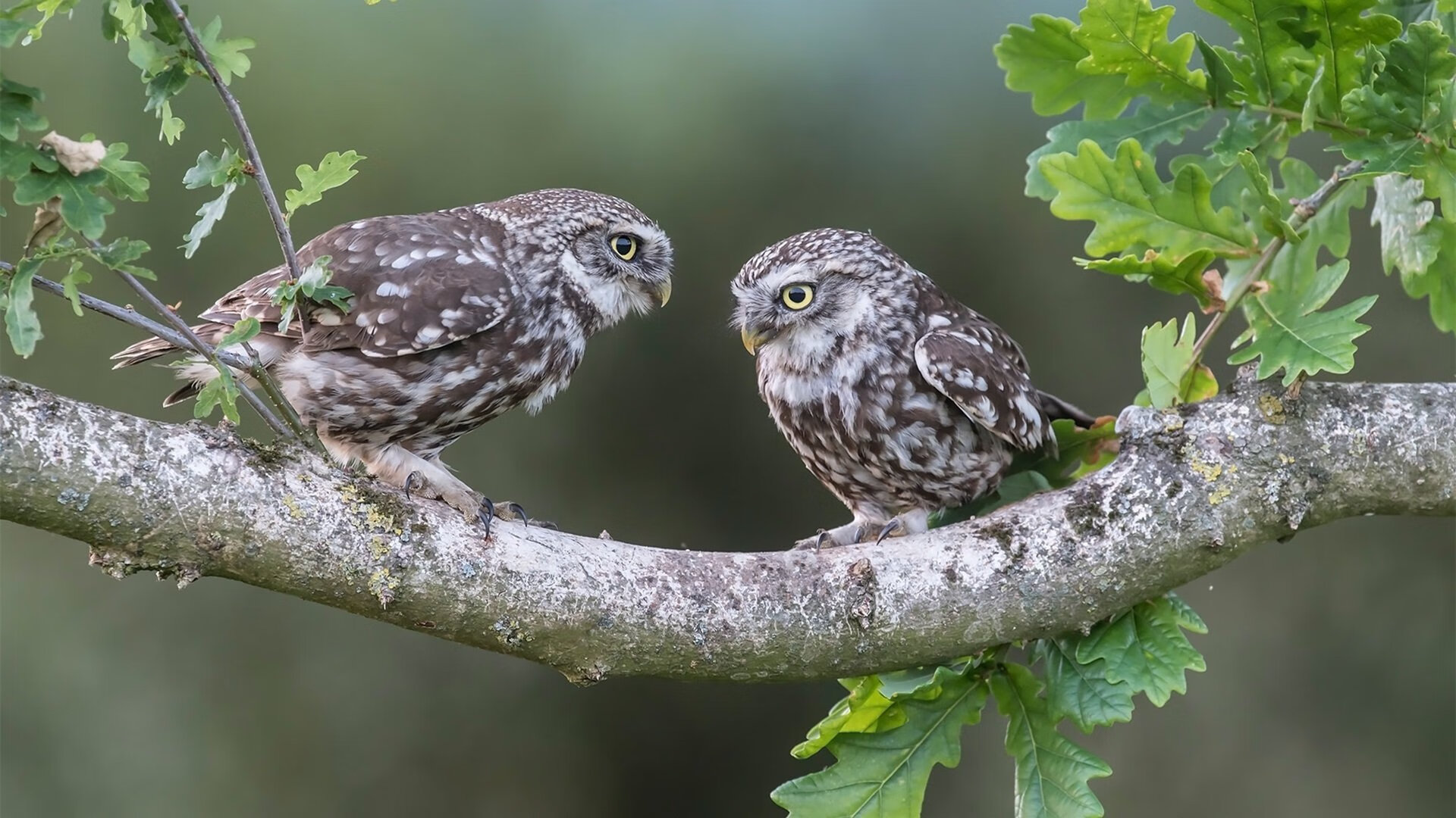 体育产业投资回报分析，体育产业投资有哪些