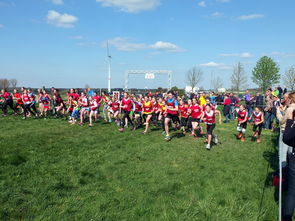 AYX GAMING-全国青少年劳动体育竞赛各项赛事激烈进行，全国青少年劳动体育竞赛各项赛事激烈进行的原因