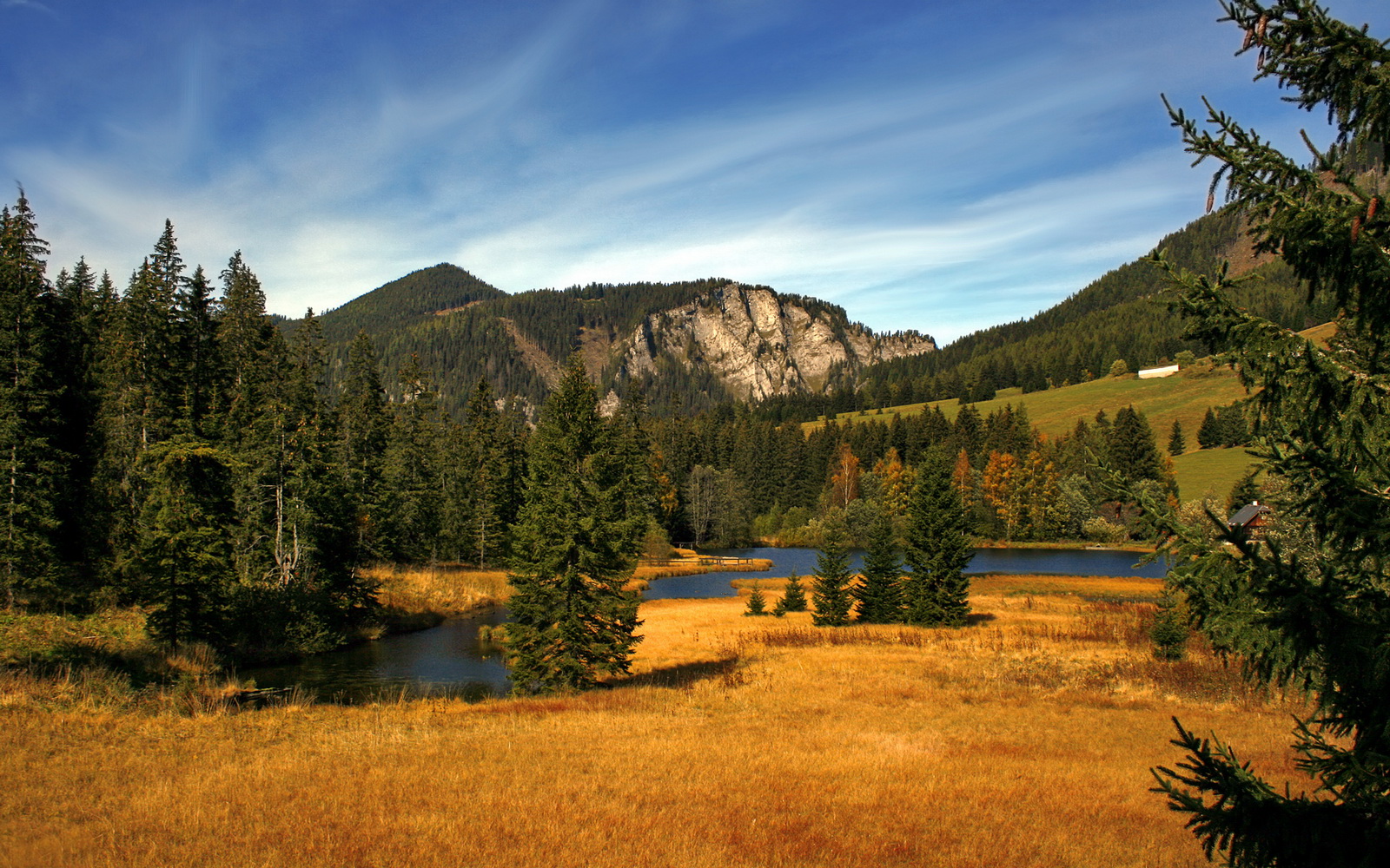 全国青少年劳动体育竞赛各项赛事激烈进行,全国青少年劳动体育竞赛各项赛事激烈进行的原因