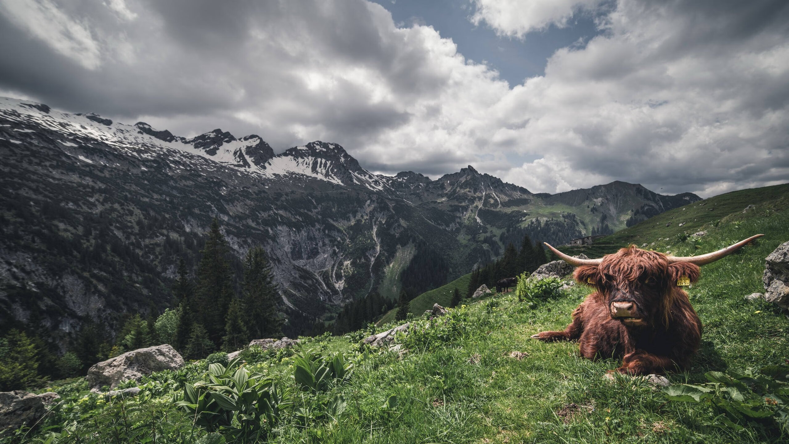 世运火炬传递路线公布，五大地标亮相成都，成都大运会火炬塔