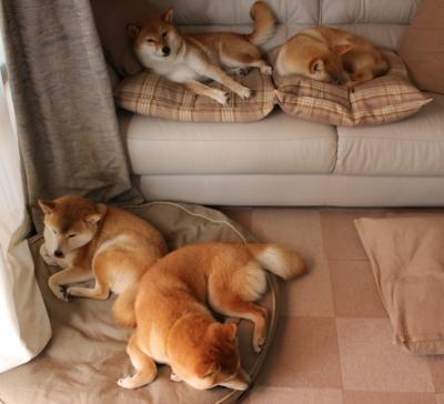 国家队防守切换未形成有效区域联动，未设置防守阵容无法申请