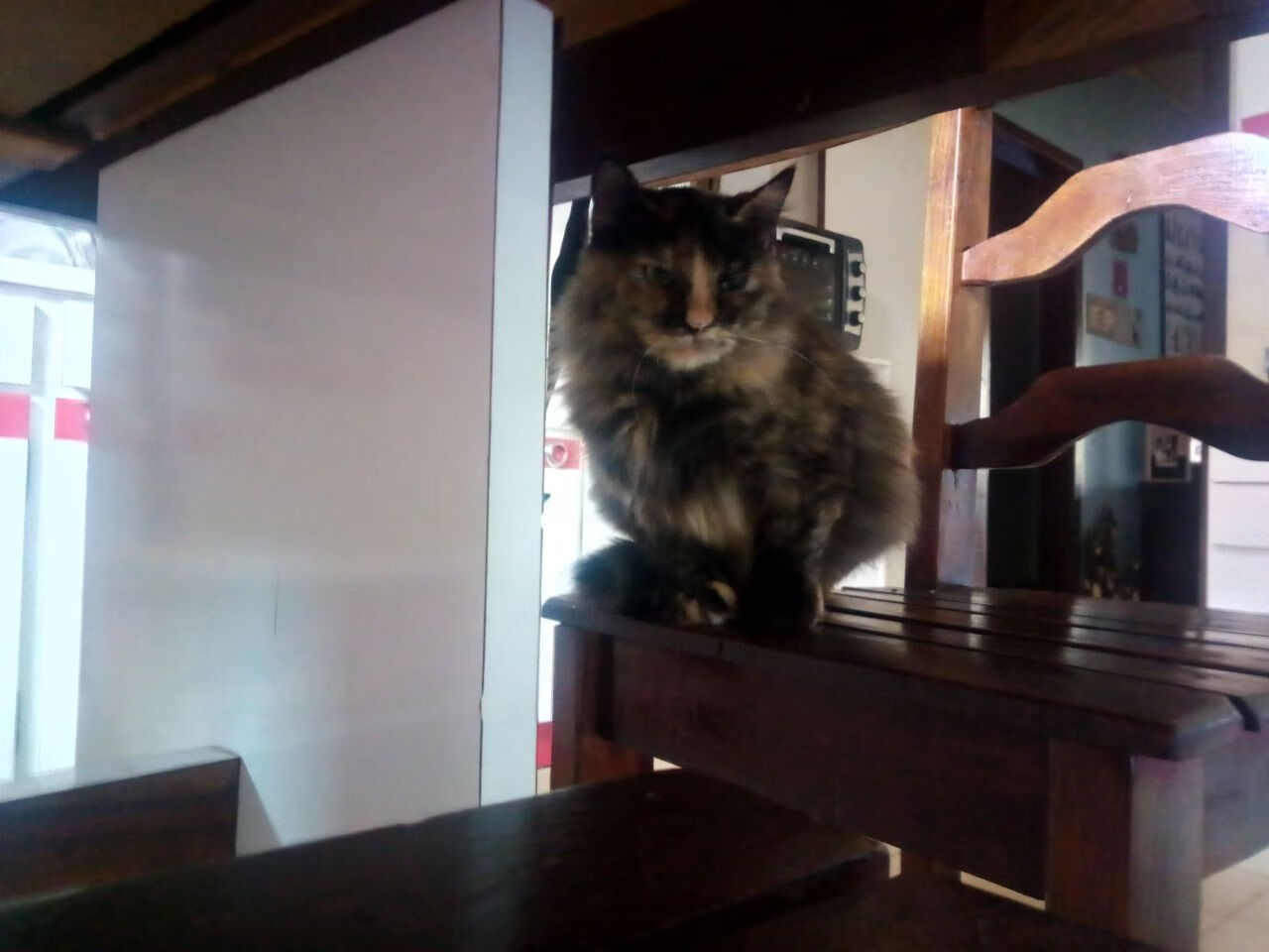 爱游戏娱乐-埃弗顿边中结合创造破门良机