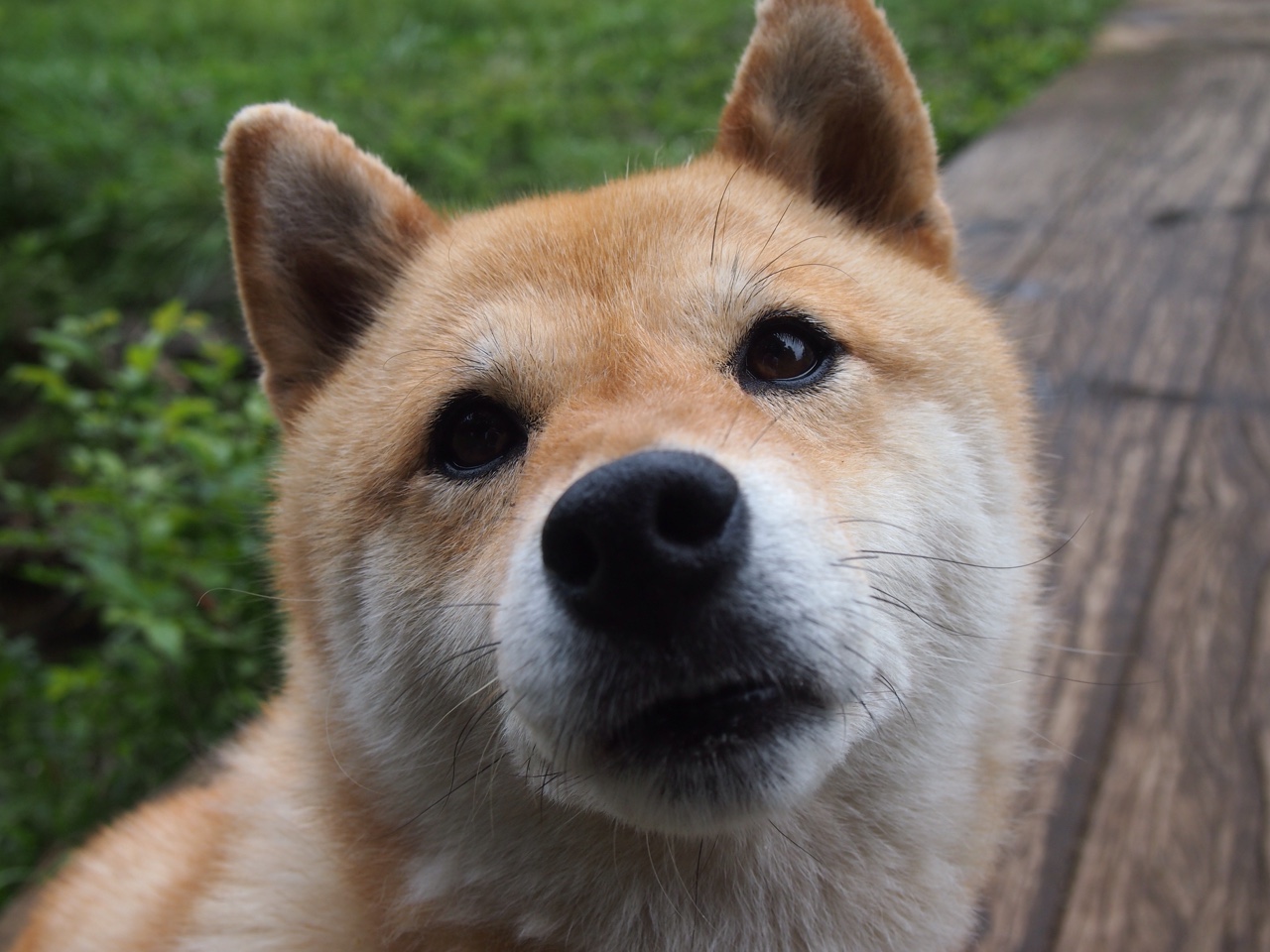 新闻中心拓展多元战略布局，多元化战略视角