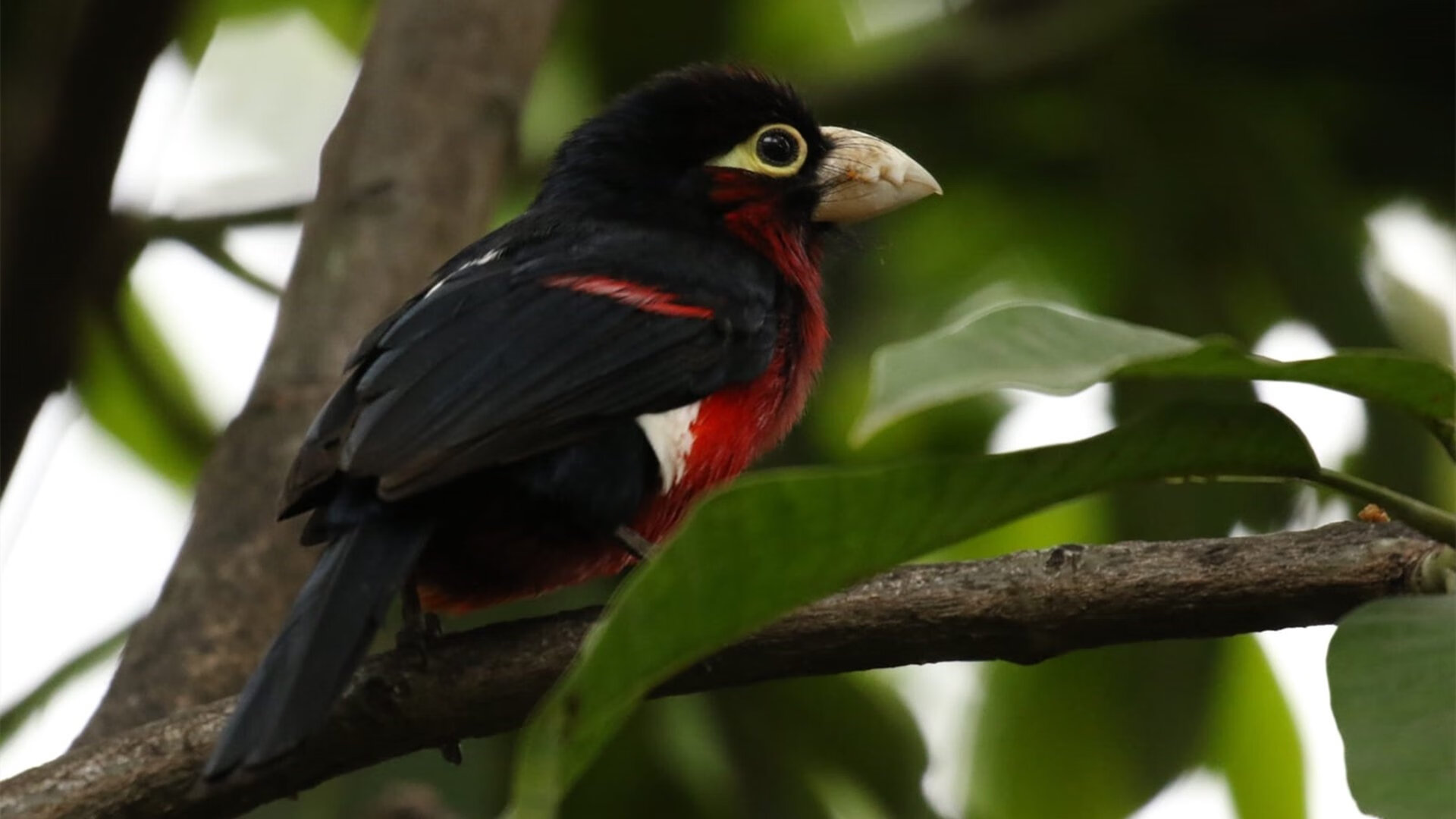 AYX体育官网-球迷担心球队士气流失，尤其面对国际大赛舞台，球迷认为球队现在出现的