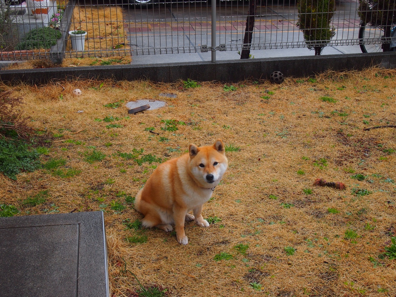 爱游戏登录入口-西班牙男选手划频波动小，节奏稳定，西班牙男子组合