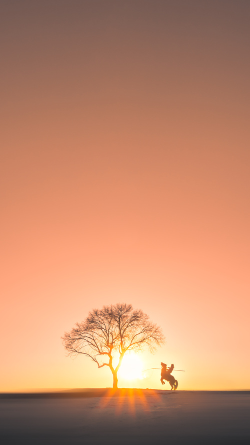 爱游戏体育-“胡利安·门德斯的快速突破与精准传球，带领阿根廷美洲狮队攻占世界舞台”