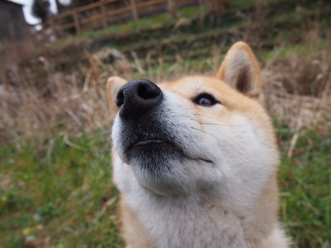 曼联刷新赛会纪录欧冠淘汰赛，曼联欧冠出线