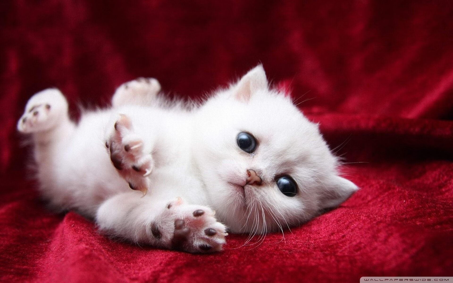 爱游戏体育APP下载-法甲未来巨星：崭露锋芒，未来无限！，法甲前瞻2020-2021