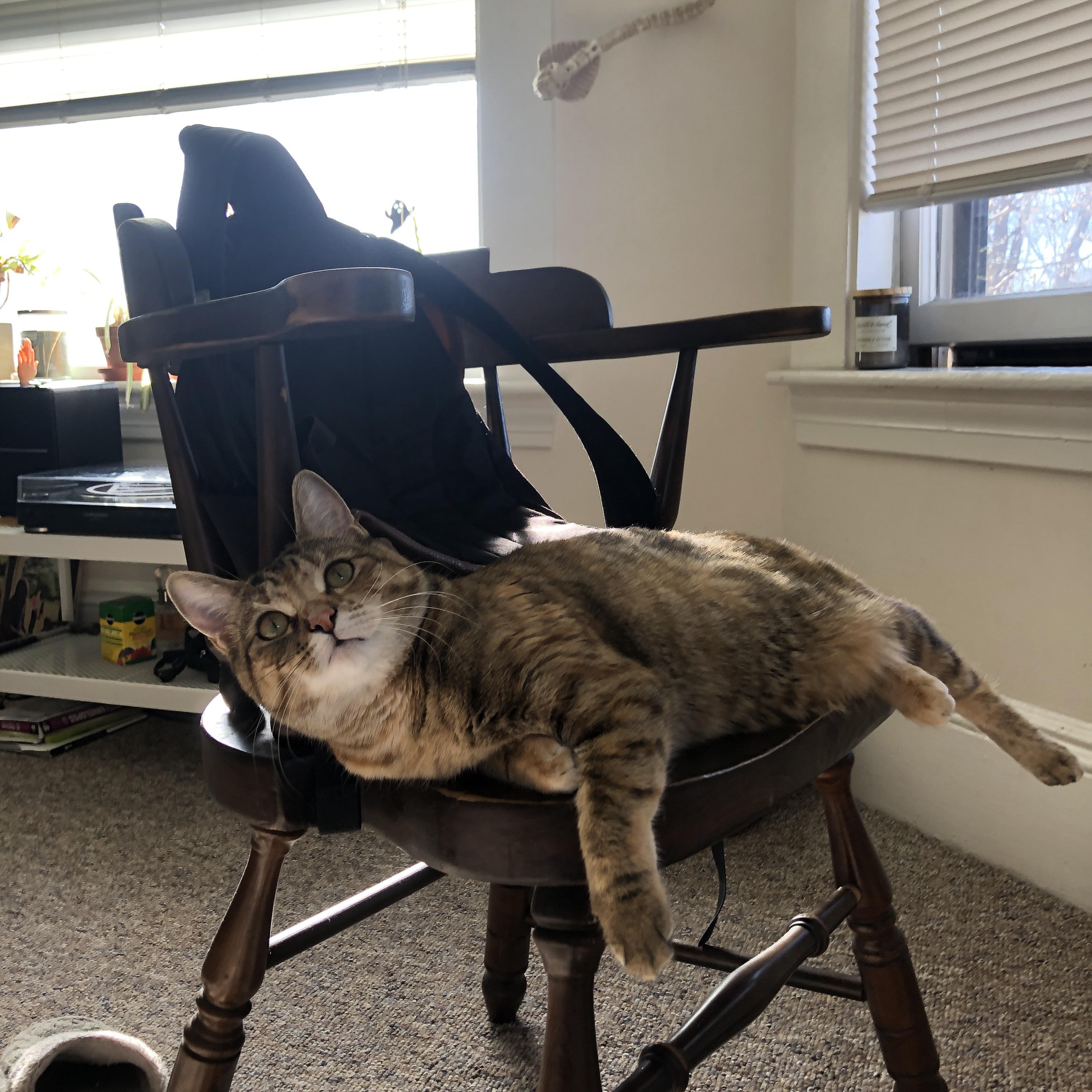 米兰双雄状态火热,争夺意甲冠军